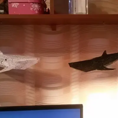 Парящие киты / Whale