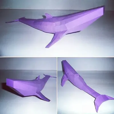 Кит / Whale