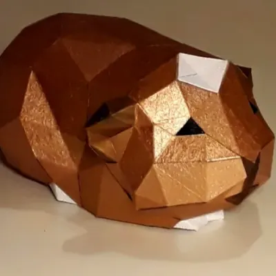 Морская свинка