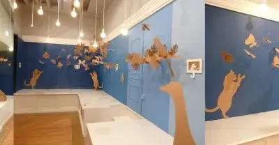 Модели животных