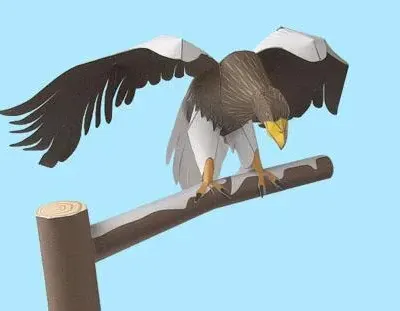 Бумажная модель Белоплечий орлан