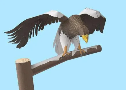 Бумажная модель Белоплечий орлан
