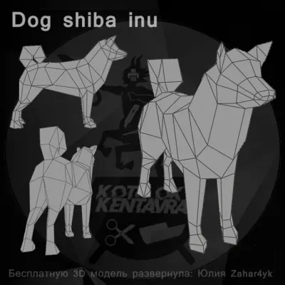 Dog shiba inu / Собака сиба-ину