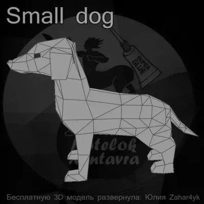 Маленькая собака / Small dog