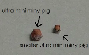Меньшая Ультра Мини Мини Свинка