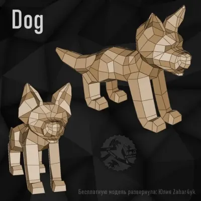 Собака / Dog