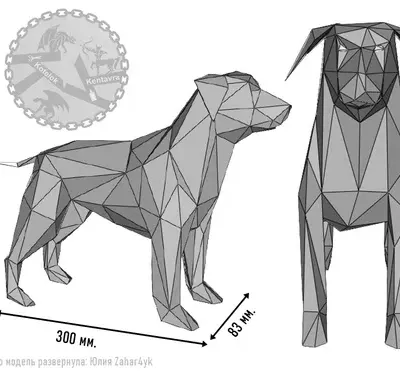 Собака / Dog