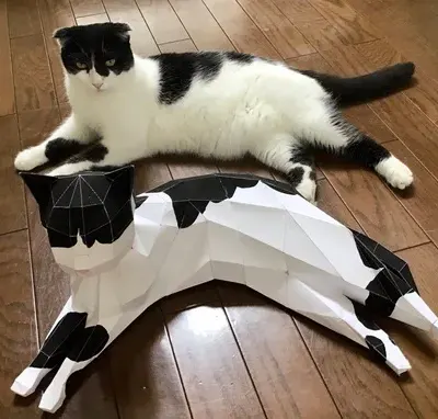 Кот 猫 говорит meow мяу meow