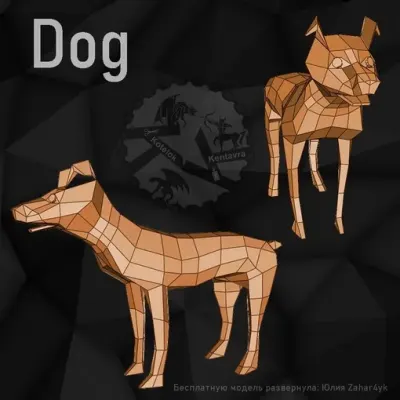Собака / Dog